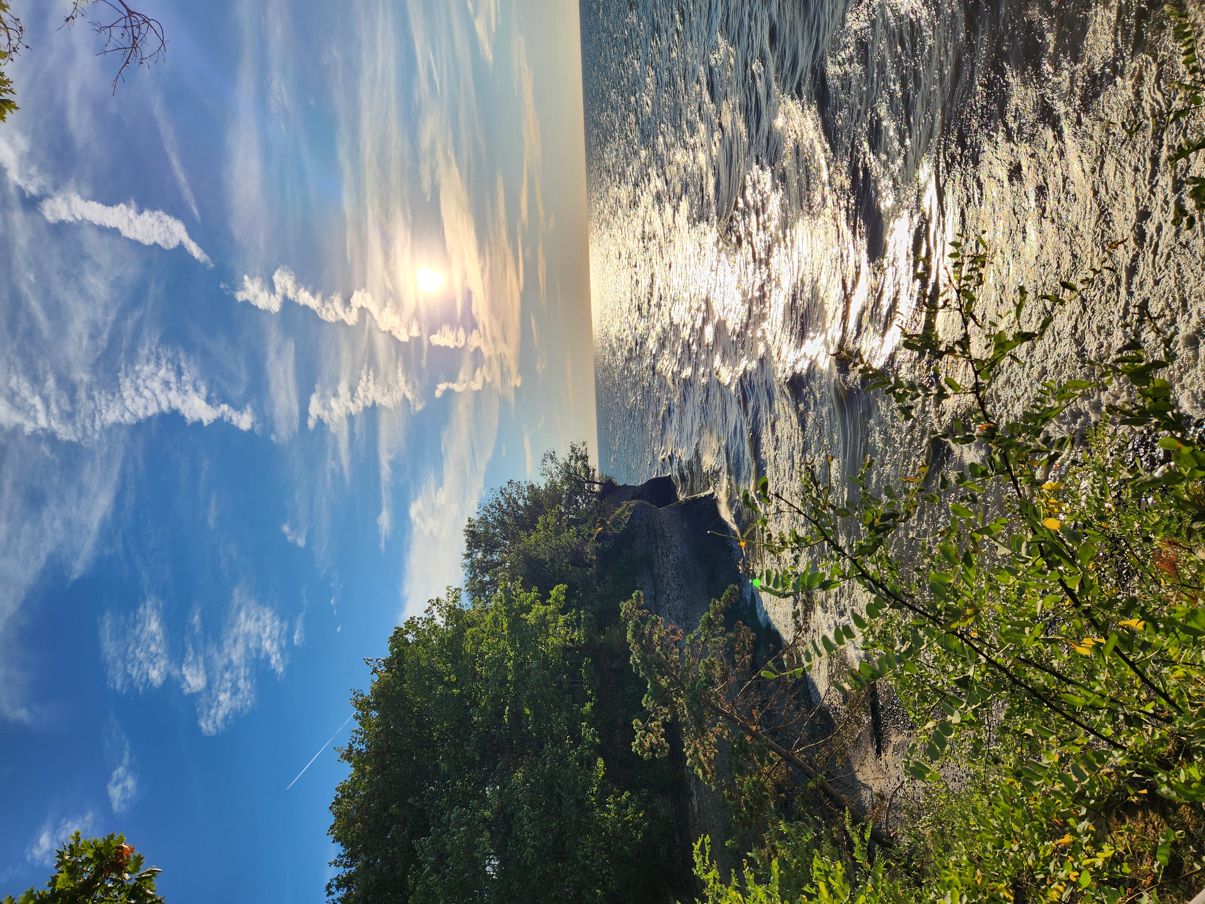 Late Afternoon Scene